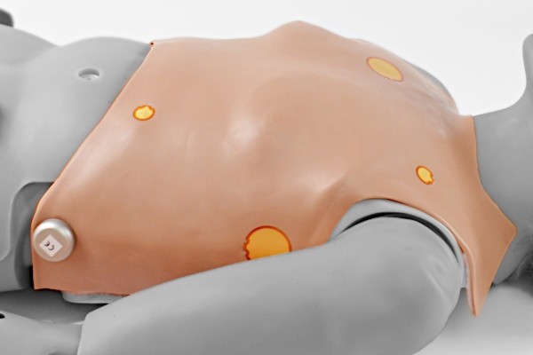 Serie Susie® (S901, S1001) – Piel de pecho masculino