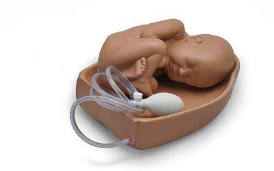 Maniobras de Leopold y Abdomen de Palpación para Obstetric Susie® S500 (S500.3)